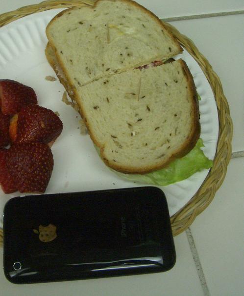 iPhone_sandwich1.JPG