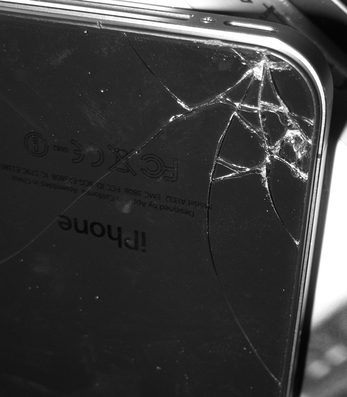 iPhoneBack4.jpg