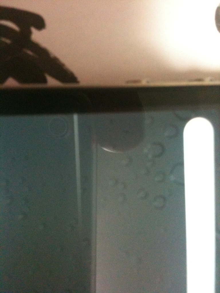 iphonephoto.JPG