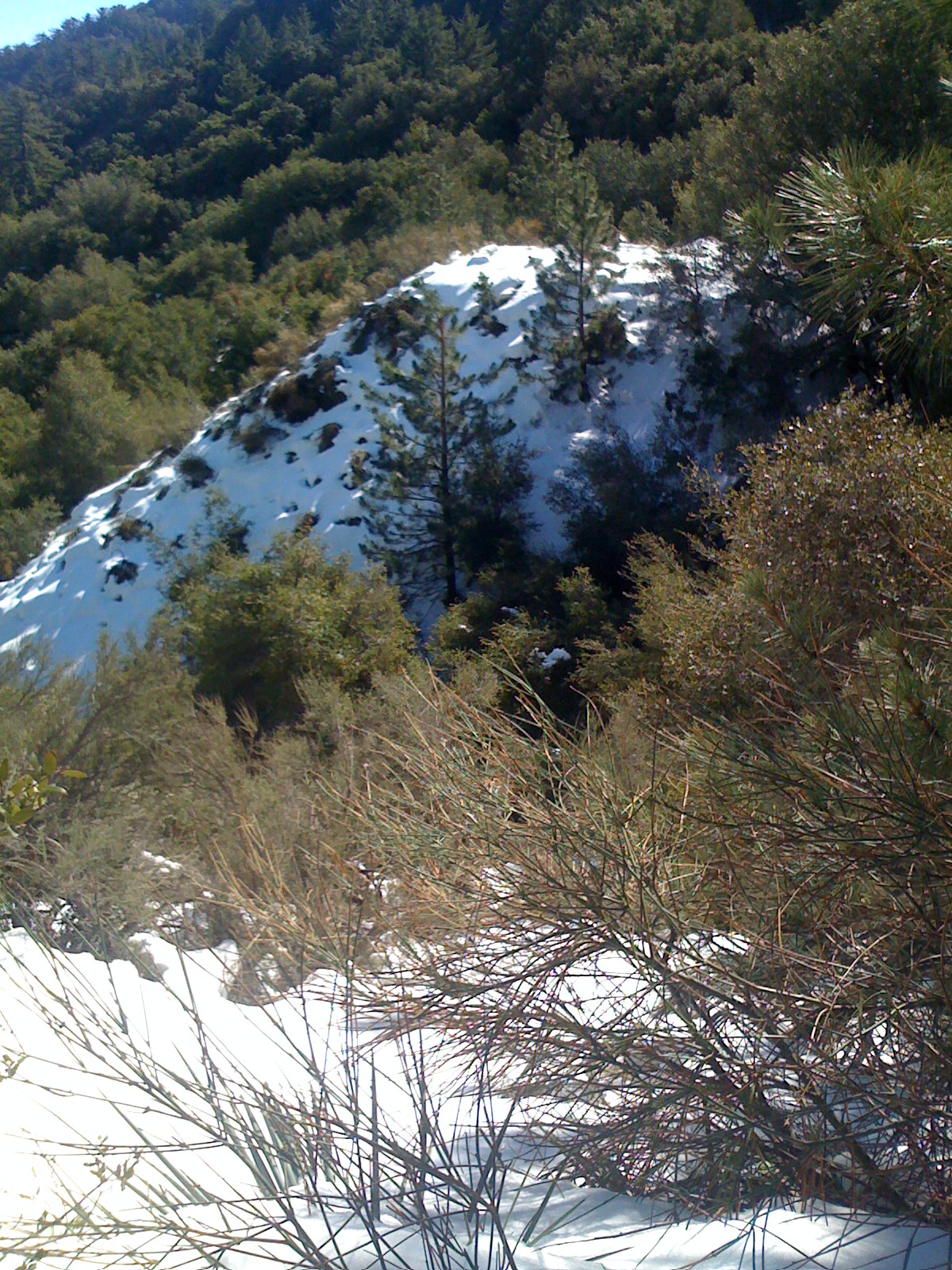 iPics 026.jpg