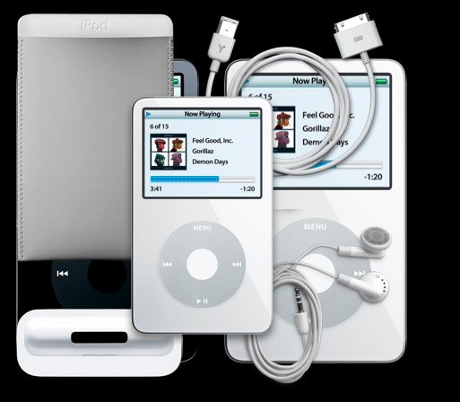 ipod-fifth-gen-access.jpg