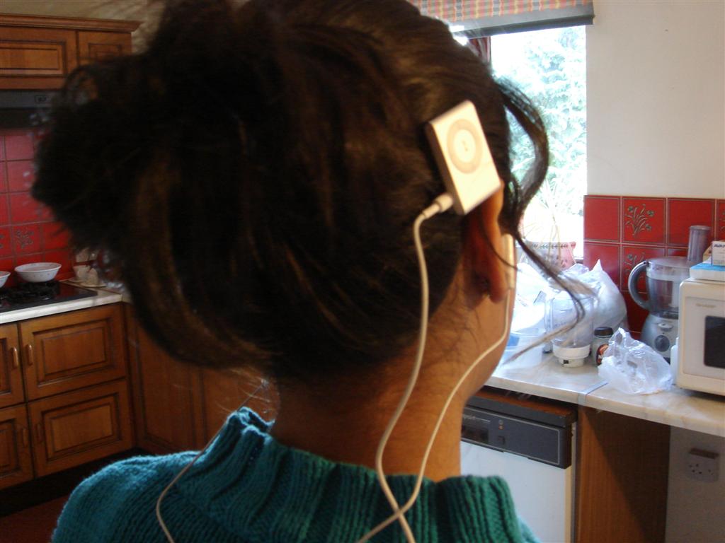 iPod_shuffle_HairClip2.JPG