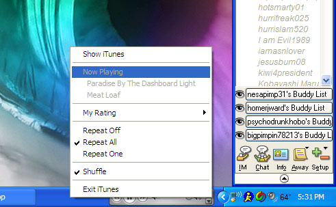 itunes toolbar screenshot.jpg
