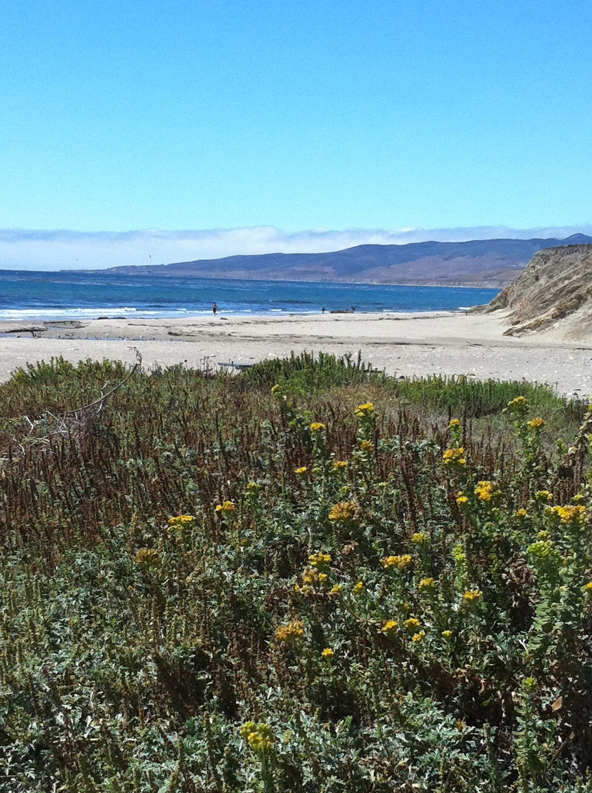 Jalama beach view3.jpg