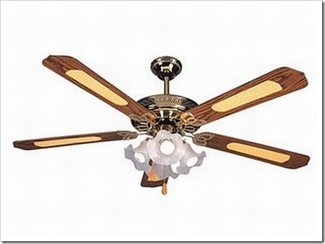 Japanese_Type_Ceiling_Fan.jpg