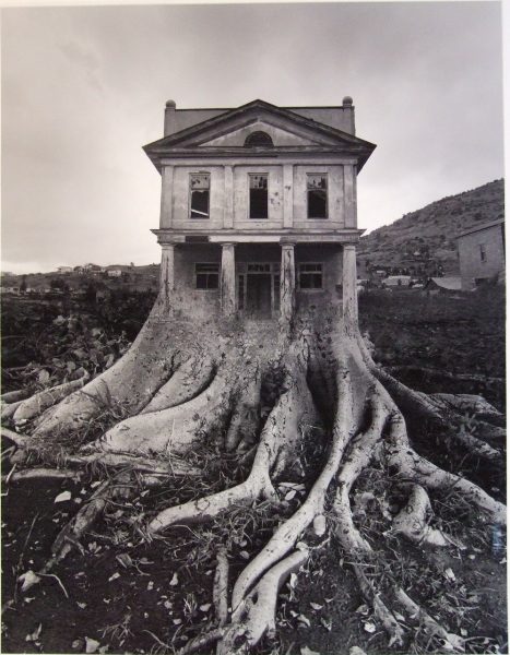 Jerry%20Uelsmann%5BUntitled%201%5D.JPG