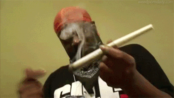 Joint Session.gif