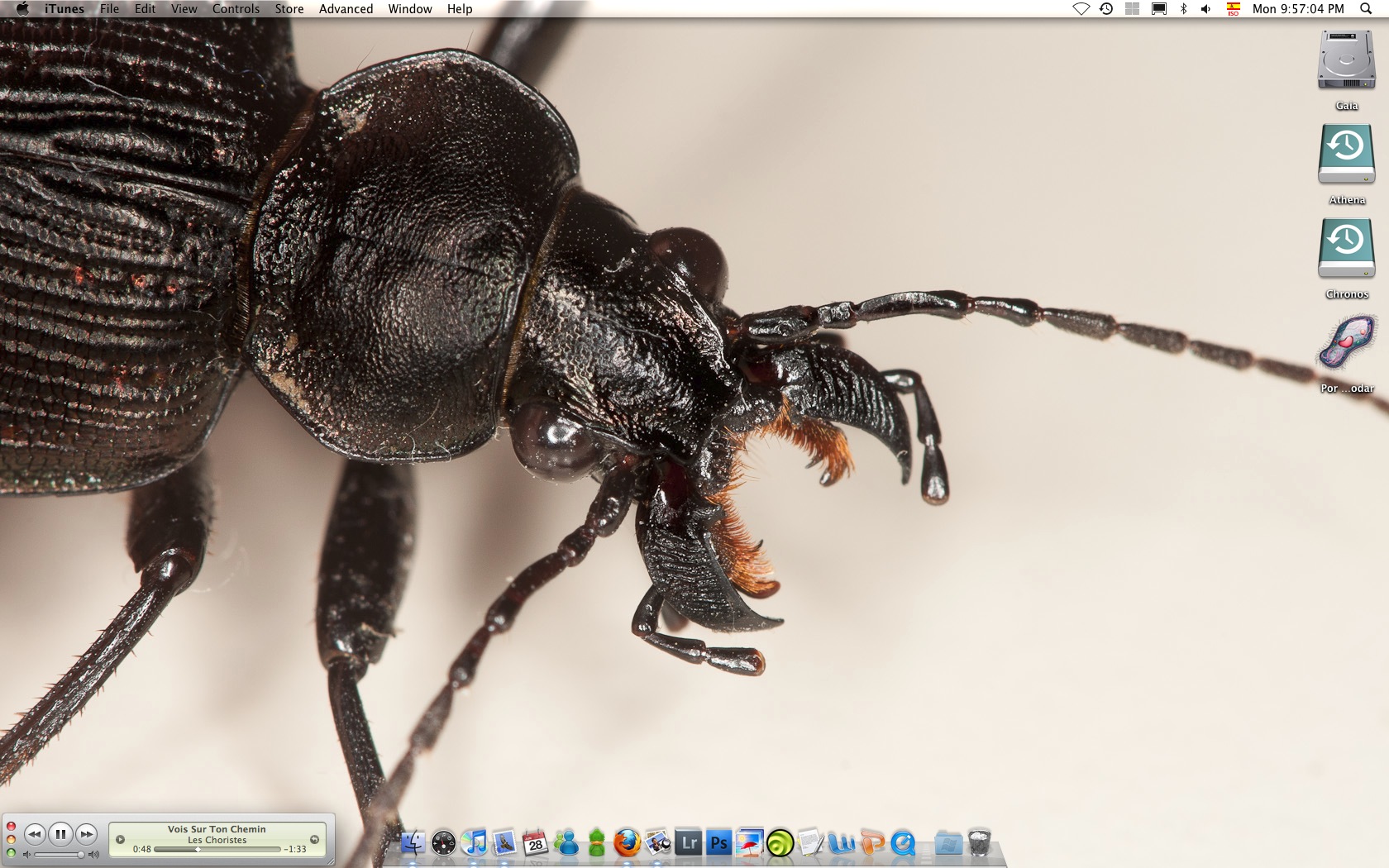 June Desktop.jpg