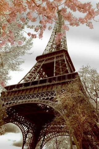 jwarren-Eiffel_spring.jpg