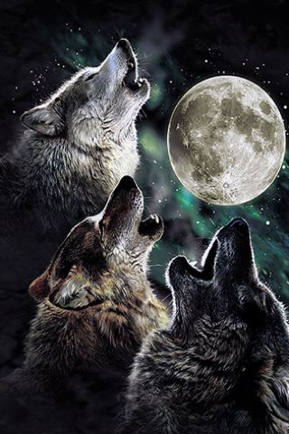 jwarren-threewolfwallpaper.jpg