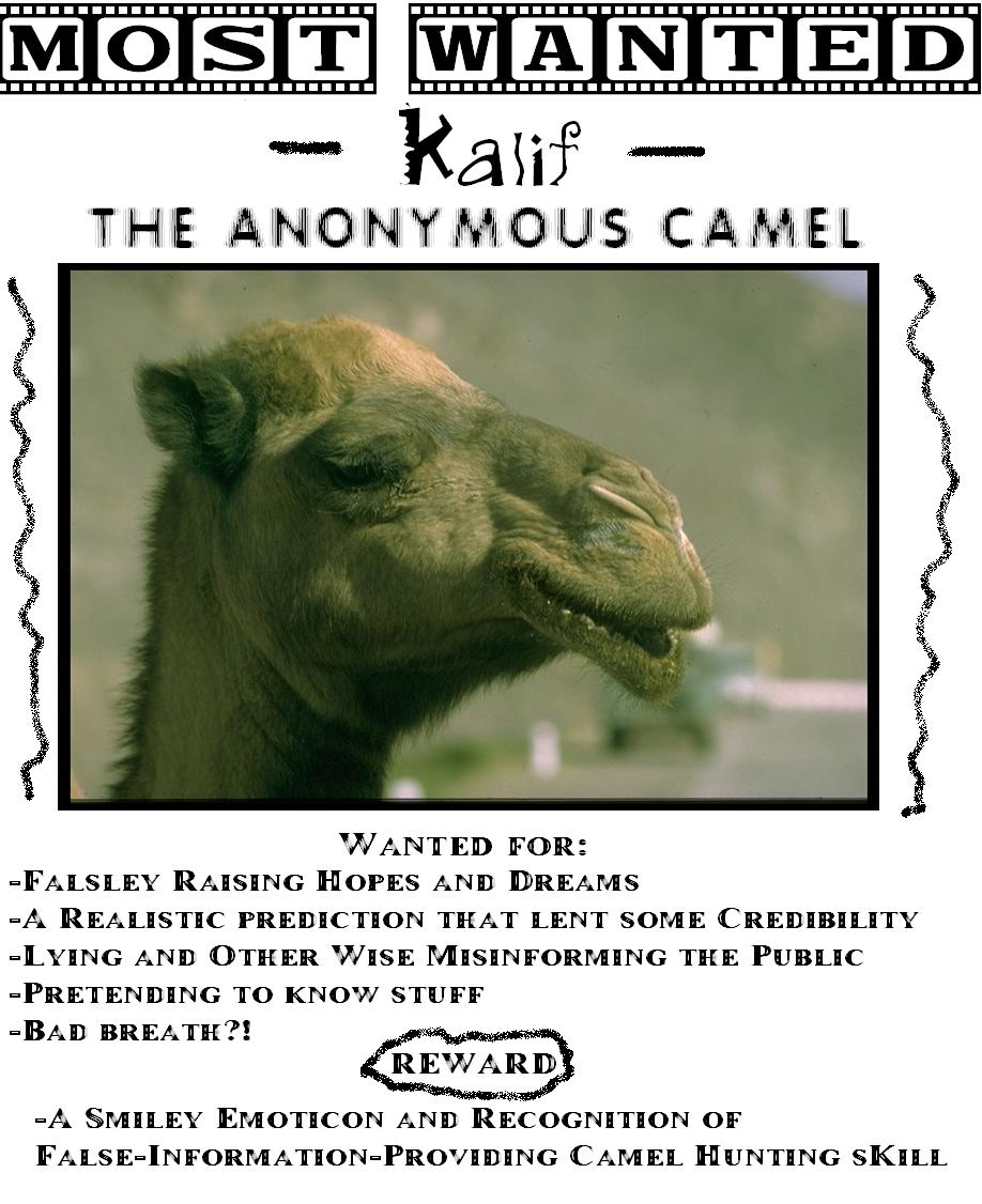 Kaifmostwanted.jpg