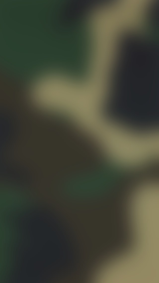 Kaki.png
