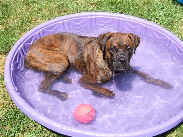 kane pool 3.jpg