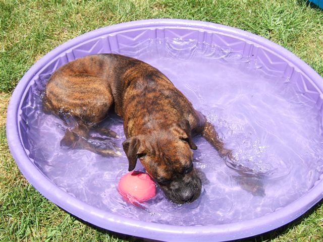 kane pool 4.jpg