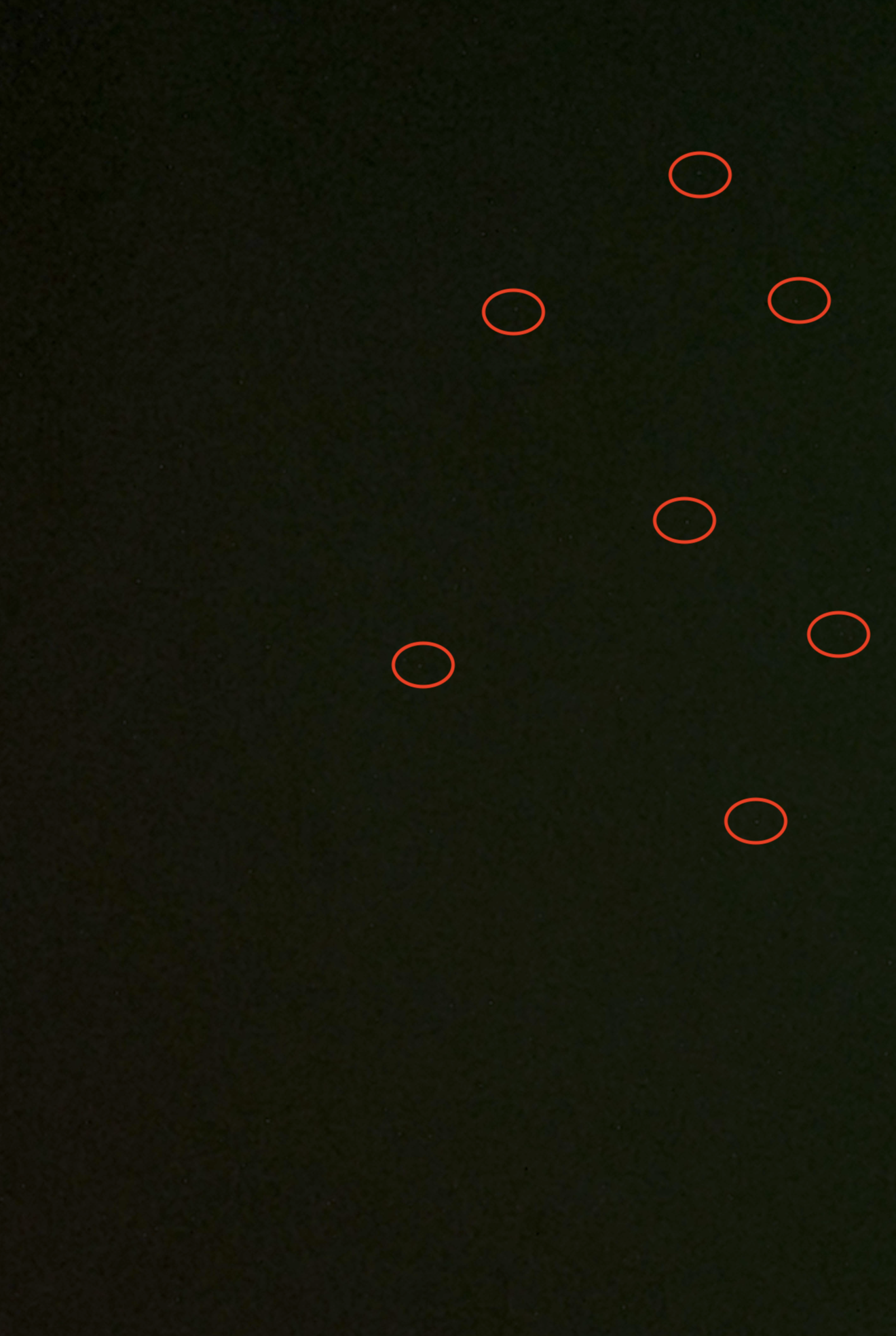 Képernyőfotó 2021-09-19 - 22.09.05.png