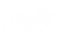 kimber.png
