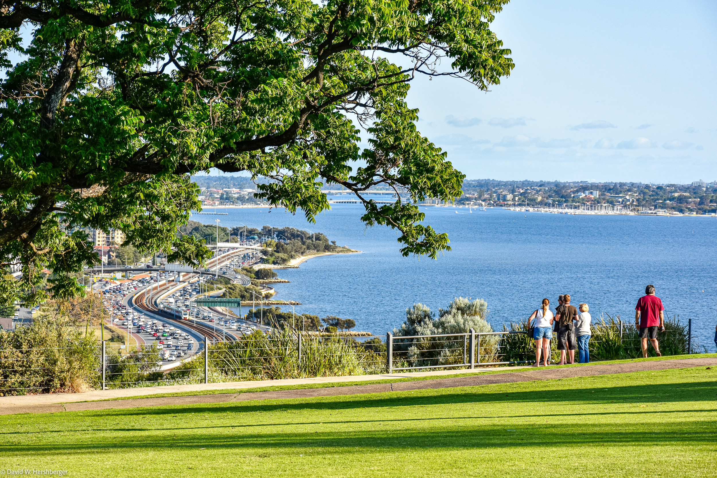 Kings Park.jpg