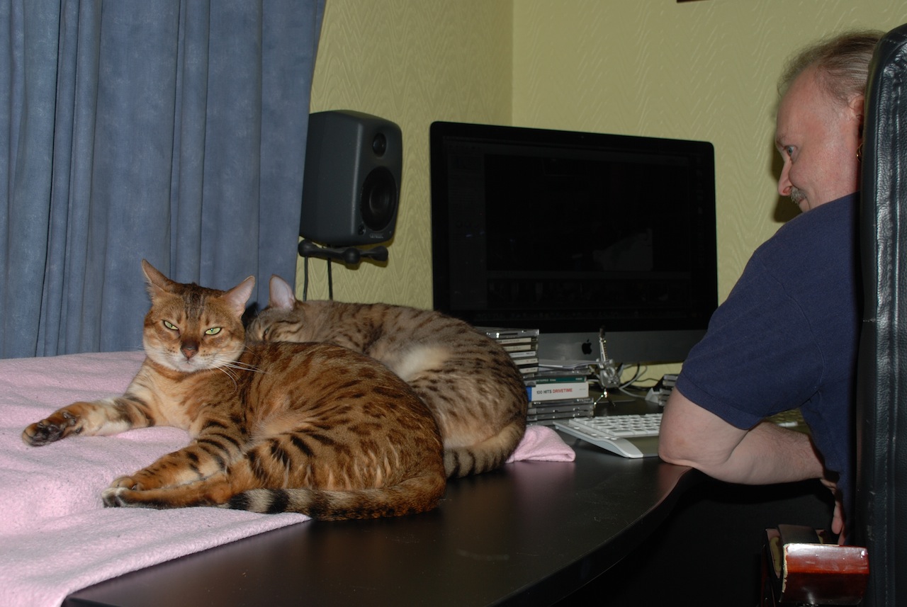 Kitties.jpg