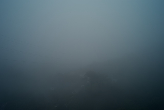 L1002175.jpg