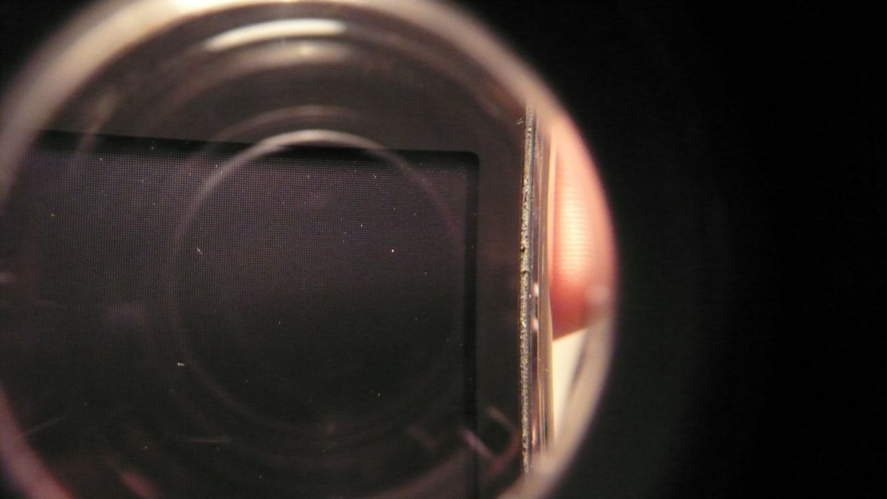L1110591.jpg