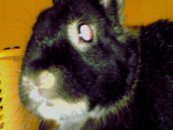 l_7cd8081bbfbeea3d422a5b650ee54cca.jpg