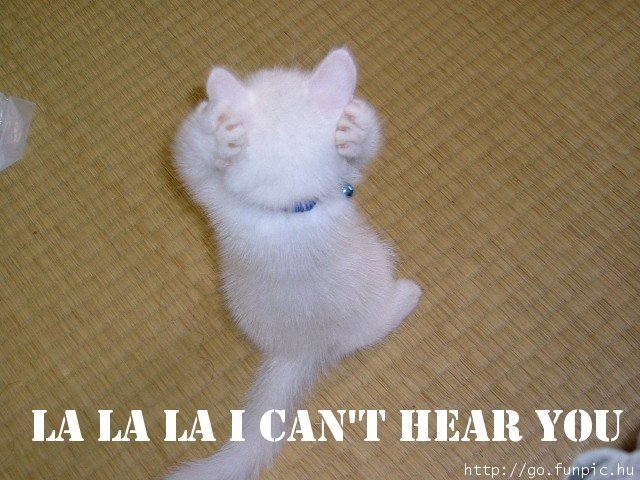 la-la-la-cat.jpg