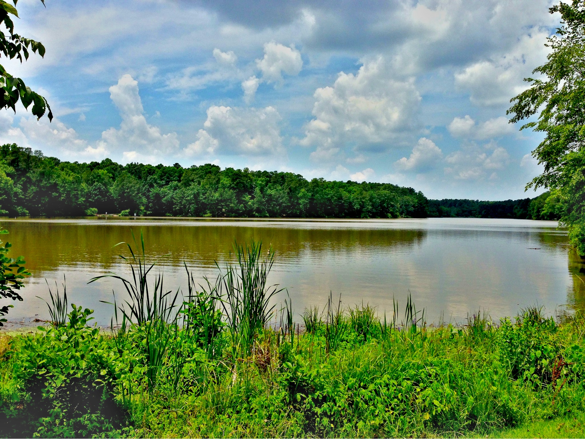 Lake Pine 6-9-2013b.JPG