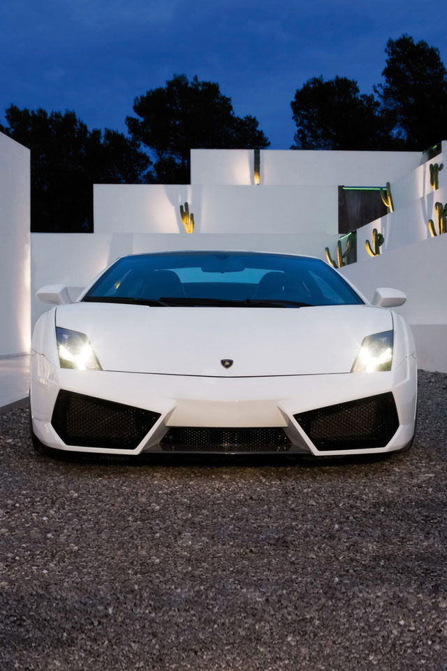 Lambo-Wte.jpg