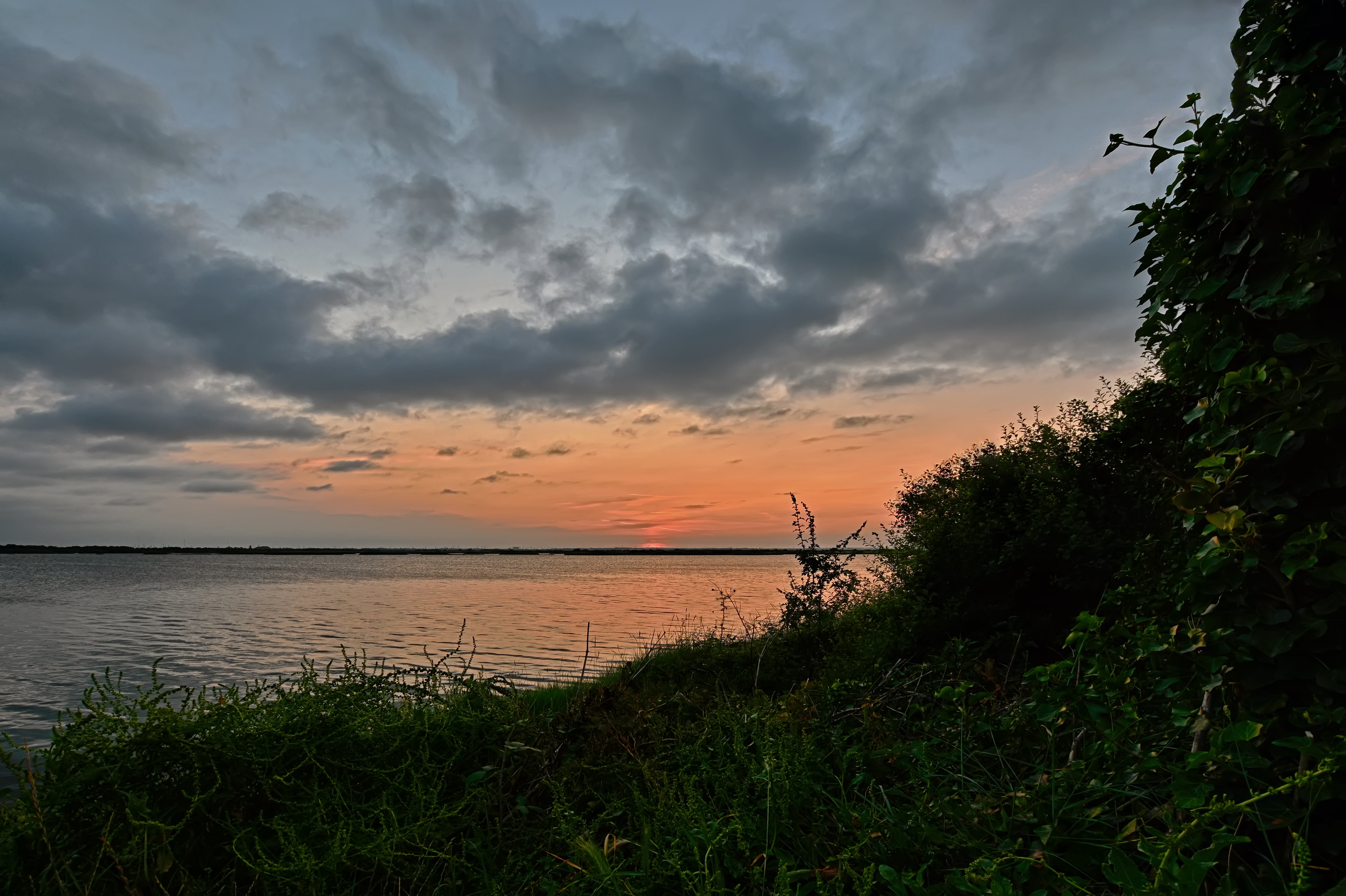 Last Rays at Cliffe Pools.jpg