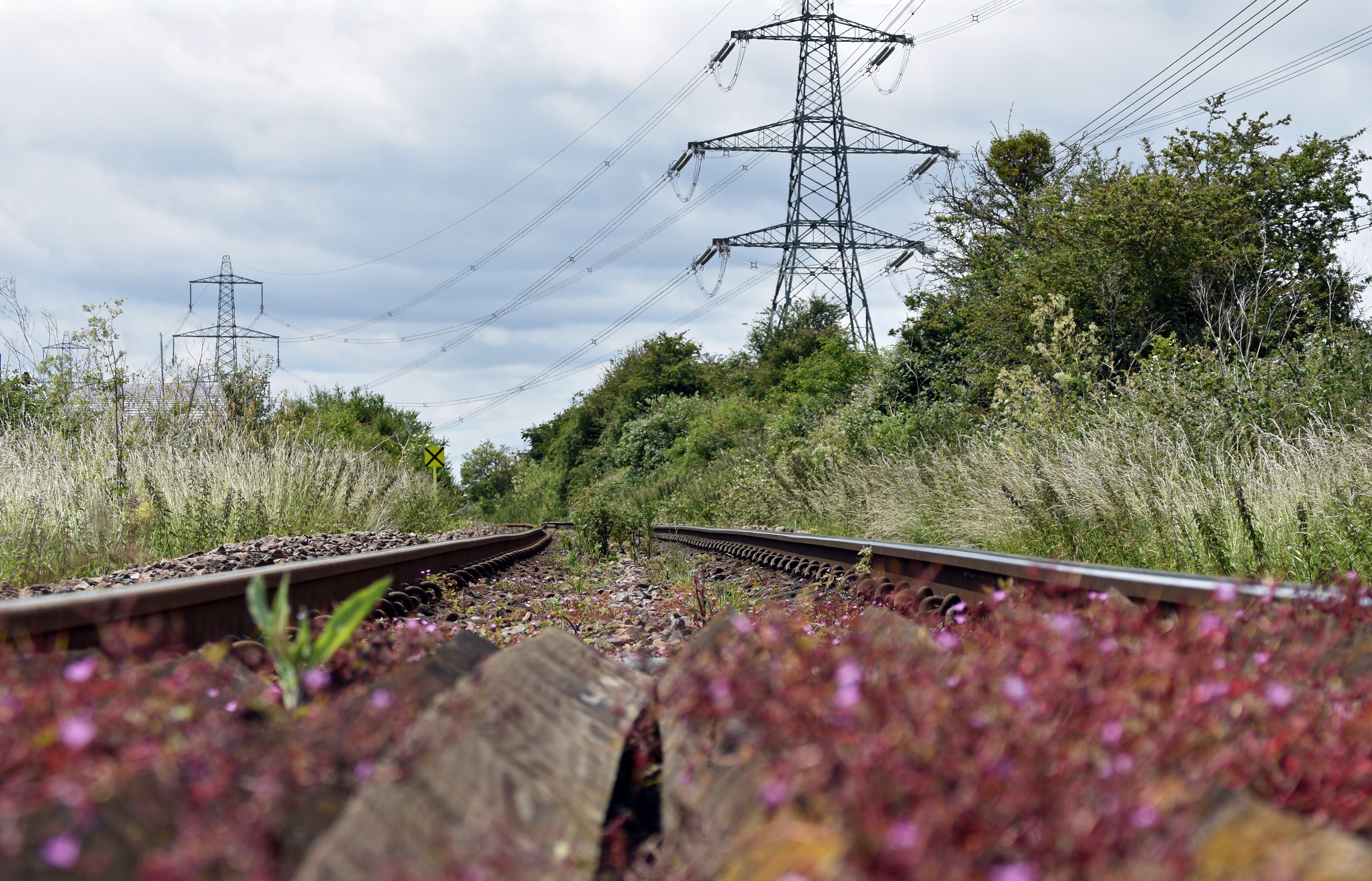 Leading Lines.JPG