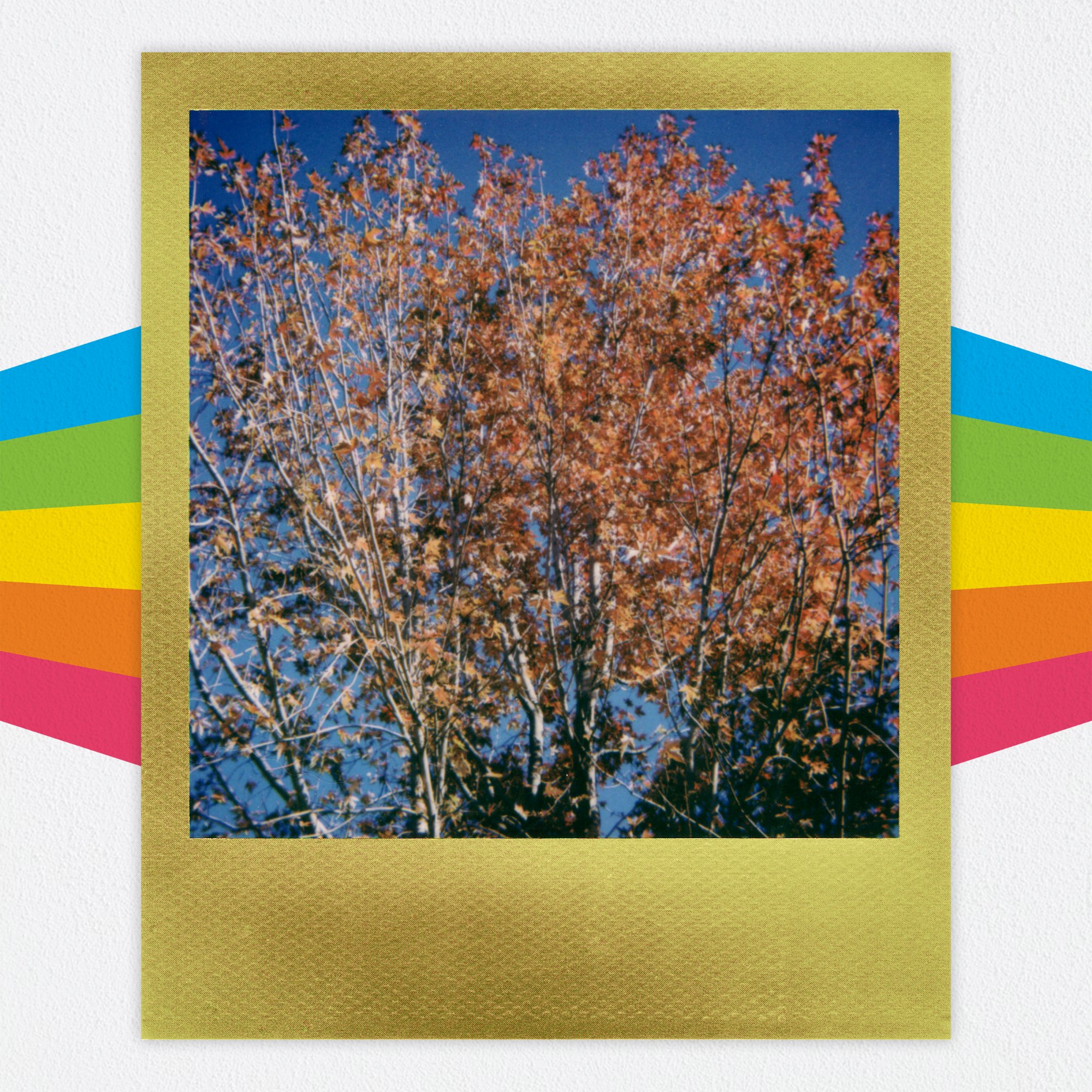 left tree4.jpg
