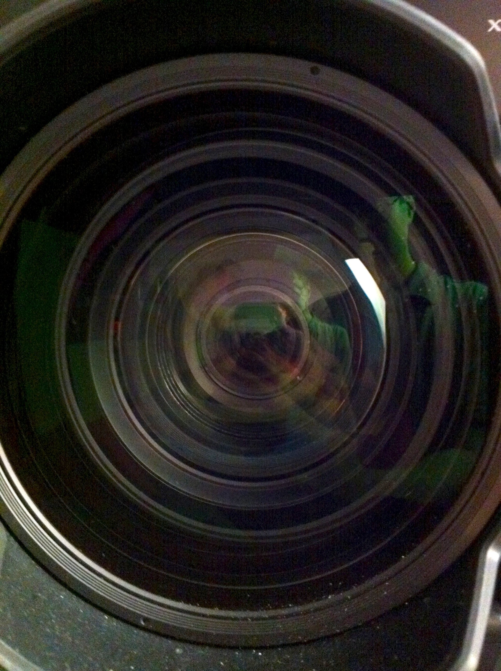 lens.jpg