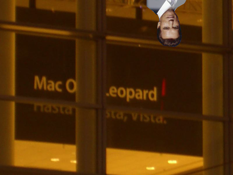 leopard vista.jpg