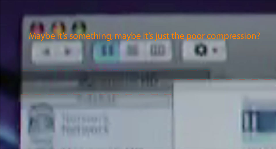 leopardfake.jpg