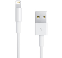 lil_lightning_usb_two_m.jpg