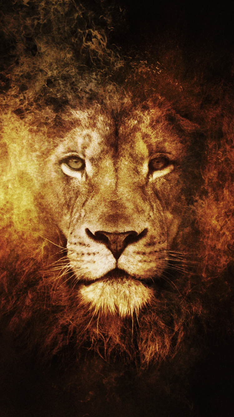 Lion.jpg