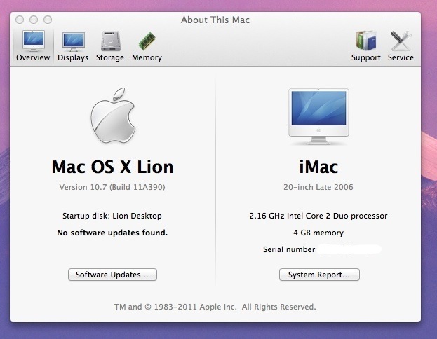 lion2.jpg
