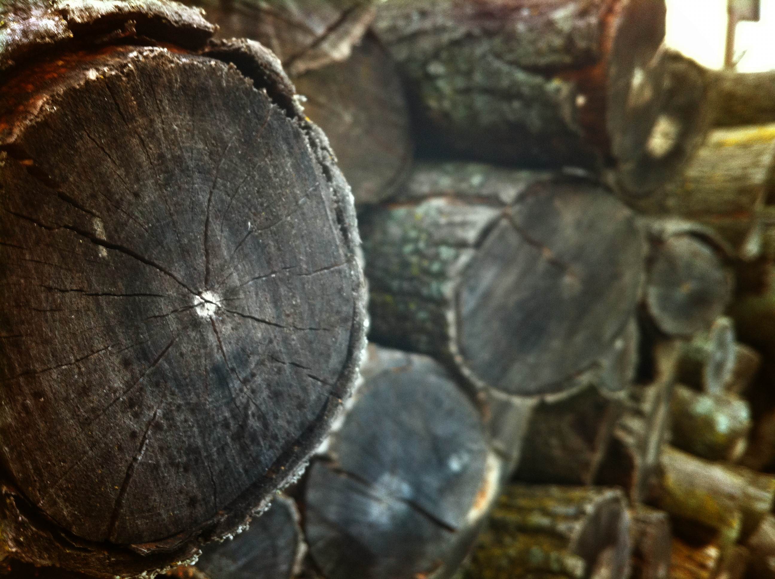 logs.jpg