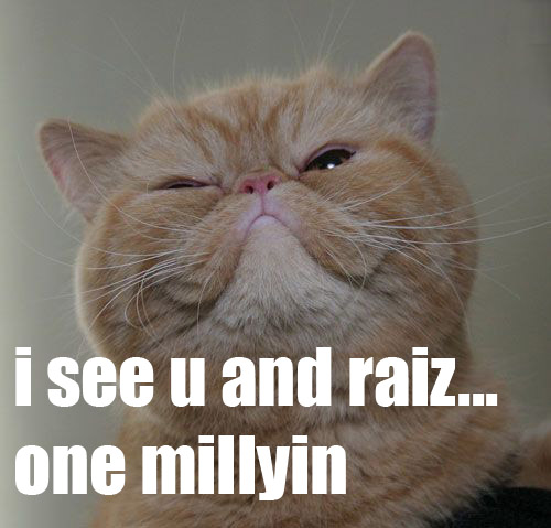 lolcat_raisebid.jpg.jpeg