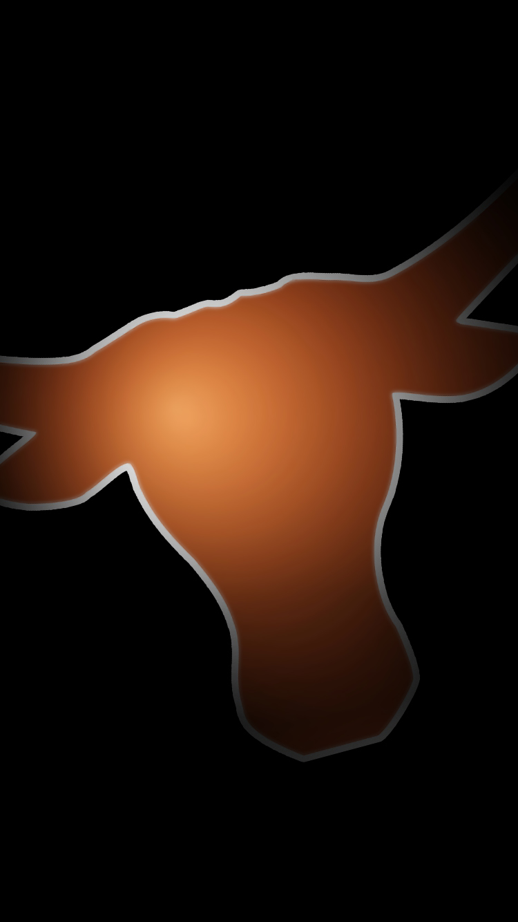 Longhorns 02.jpg