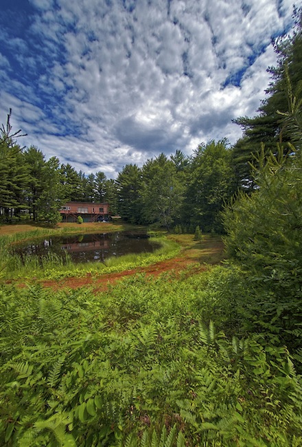 LT HDR 2.jpg