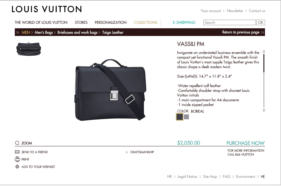 LV Bag.jpg