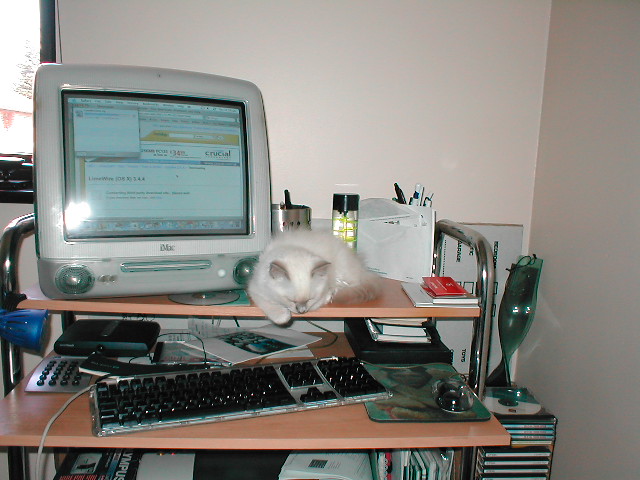 MacDisney2.JPG