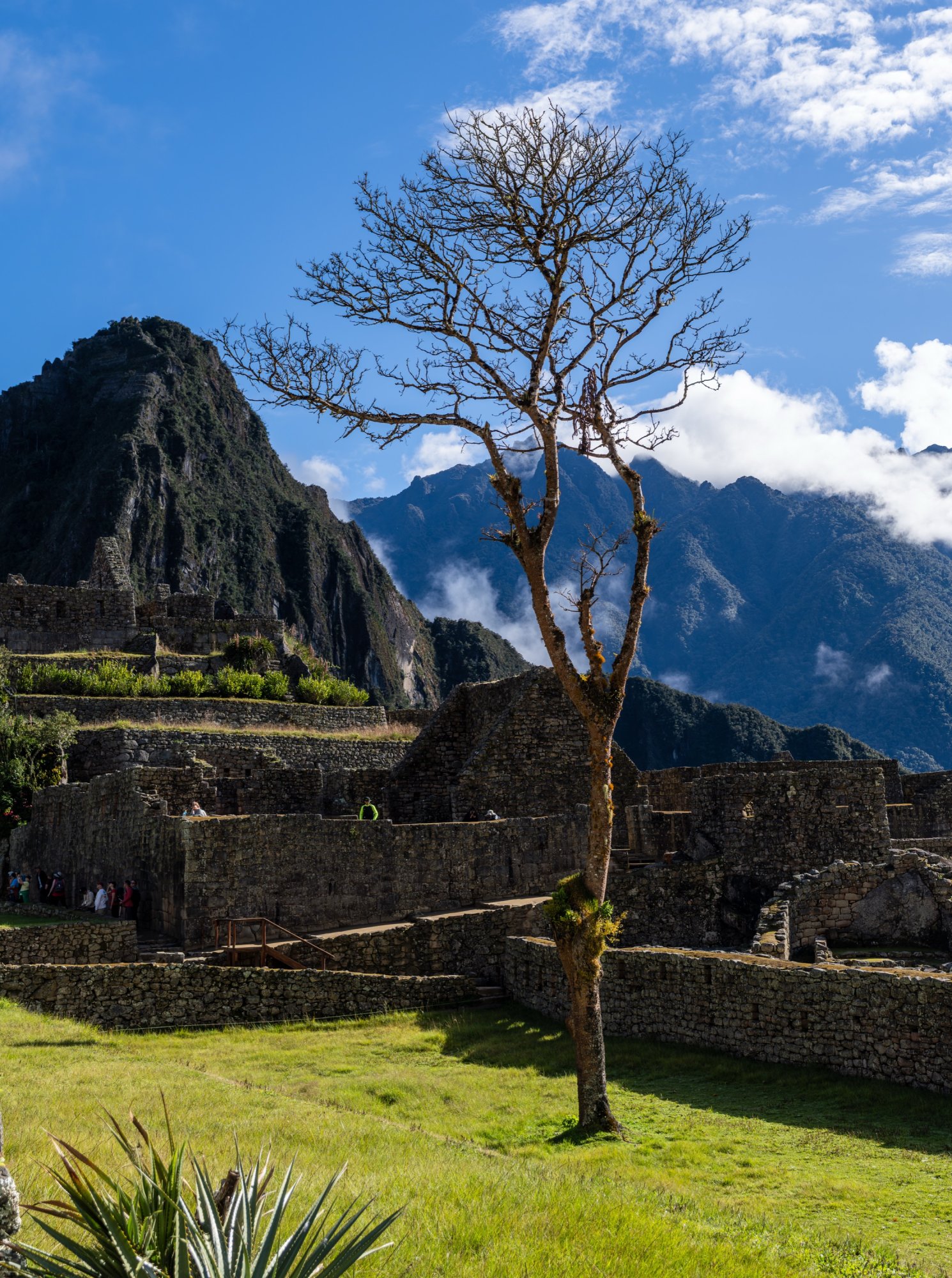Machu Picchu.jpg
