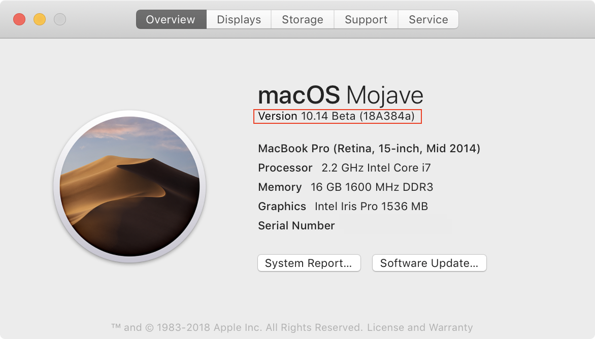 macOS Mojave 10.14 Beta (18A384a).png