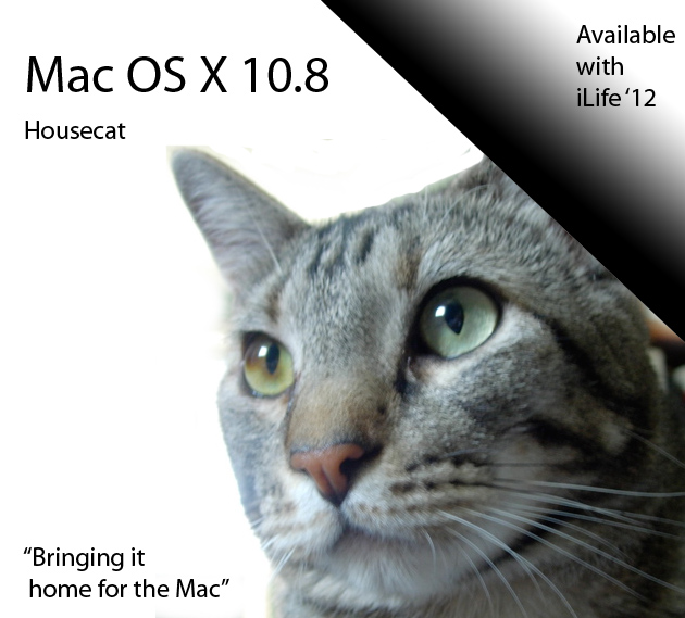 macoshousecat.jpg