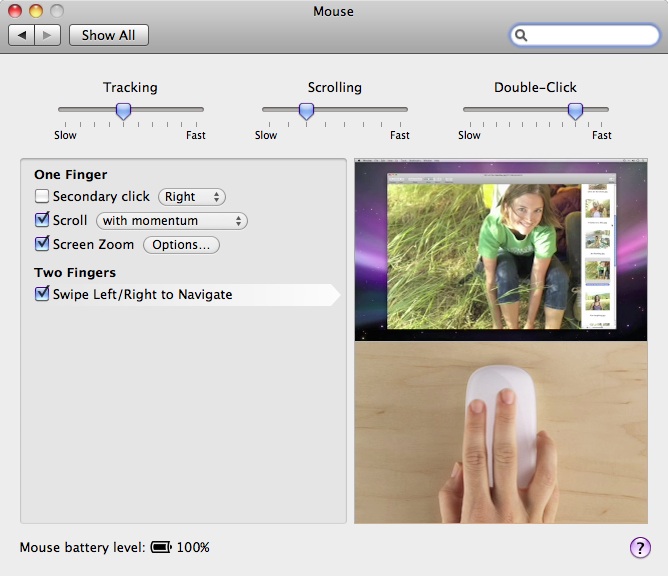 magic-mouse-system-preferences-2.jpg
