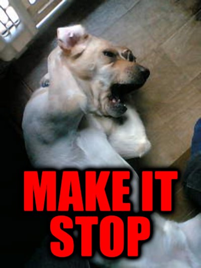 make it stop.jpg