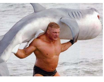 Manly-Man-Shark.jpg
