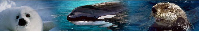 marinemammals.jpg